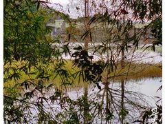 -梧桐山风景名胜区