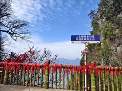 -塔云山