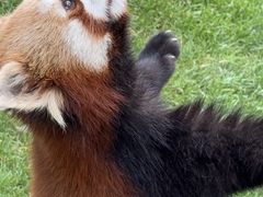 -常州淹城野生动物世界