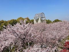 -高东镇樱花园