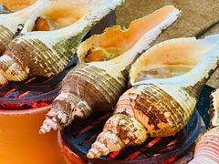 炭烧响螺-吴记富苑(朝阳店)