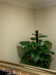 -南宁华美医疗美容医院