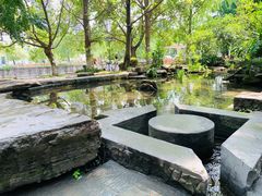 -成都市活水公园
