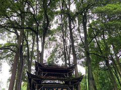 -青城山
