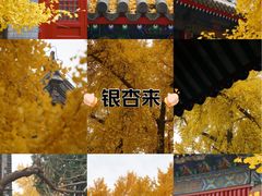 -承恩寺