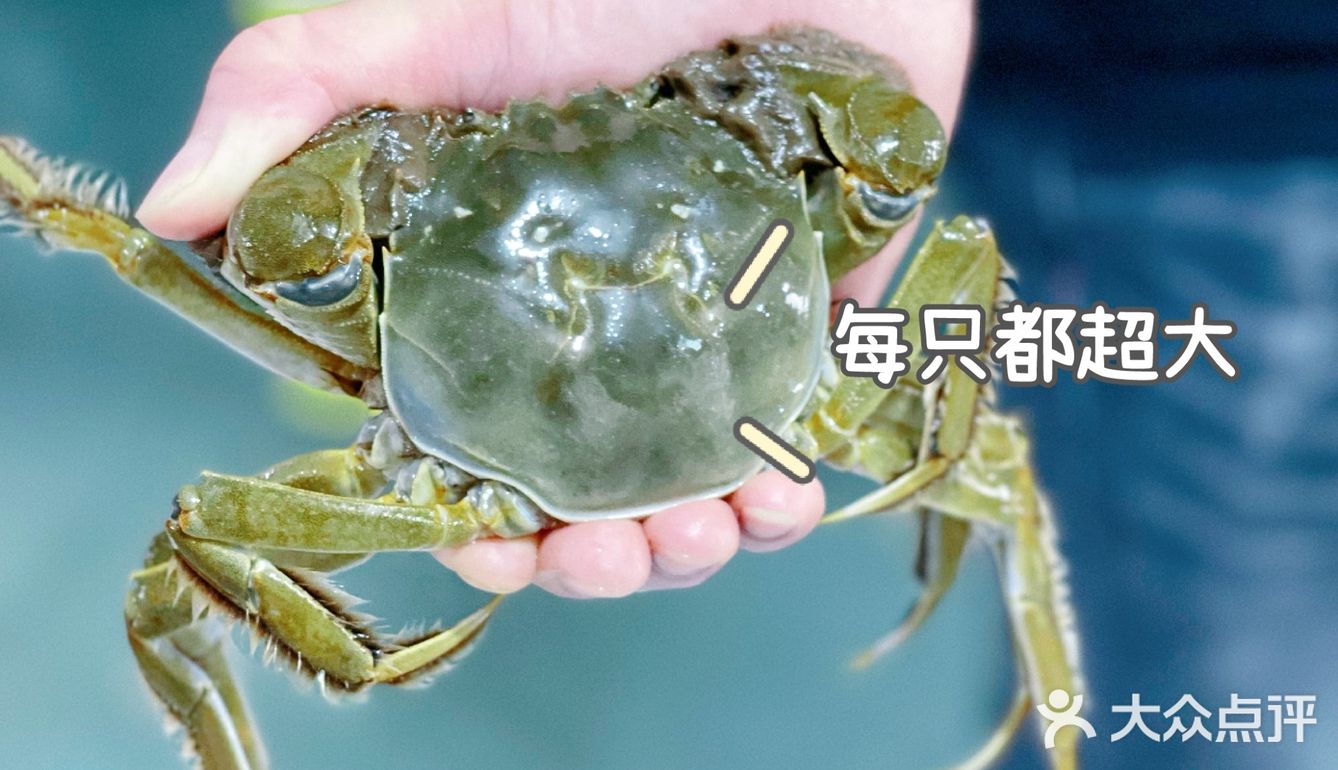 阳澄湖畔大闸蟹🎈山水蟹庄蟹全友🦀解锁秋日第一只螃蟹吧🔥