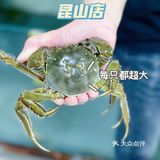 阳澄湖畔大闸蟹🎈山水蟹庄蟹全友🦀解锁秋日第一只螃蟹吧🔥