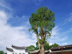 -和顺古镇