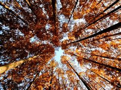 -南京市无想山景区