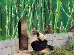 -南昌动物园