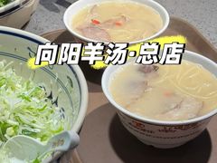 -向阳羊汤(千峰店)