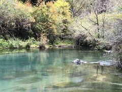 -叠溪松坪沟景区