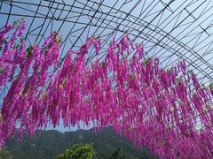 -牛鱼嘴原始生态风景区