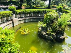 -青岛德国总督楼旧址博物馆