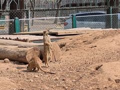 -秦皇岛野生动物园