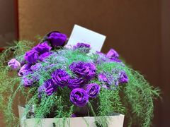 -觀芷隐轩