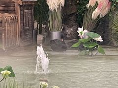 -首创奥特莱斯(北京店)