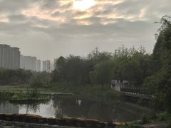 -洋湖国家湿地公园