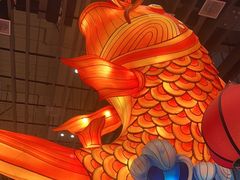 -天辣(金桥啦啦宝都店)
