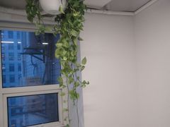 -引领英语·成人口语·雅思托福