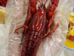 -龙虾奇迹(大华三路店)