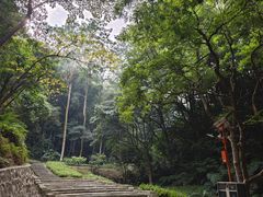 -黄埔油麻山森林公园