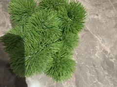 -漫·汤泉