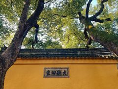 -西园戒幢律寺