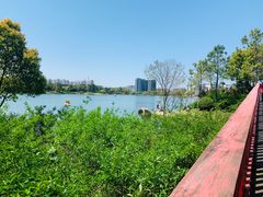 -美兰湖景区