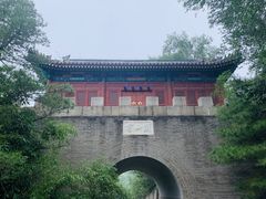 -云岗森林公园