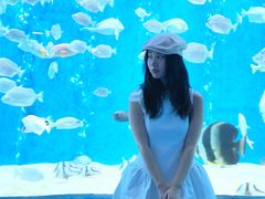 -合肥海洋世界
