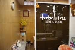 -菩叶头皮抗衰养发护发