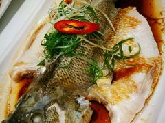 清蒸鲈鱼-至潮餐厅精致粤菜·活鲈鱼·走地鸡(珠江新城店)