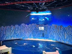 -珠海长隆海洋王国