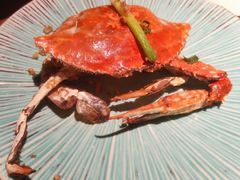 -和创柚子·会席日本料理(新区淮海街店)