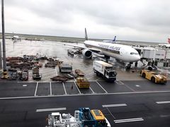 -新加坡航空公司(ION)