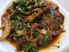 夫妻肺片-南波万