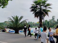 -枫香湖儿童公园