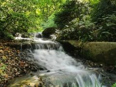 -中国茶叶博物馆(双峰馆区)