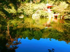 -醍醐寺