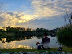 -白鹭湾湿地公园