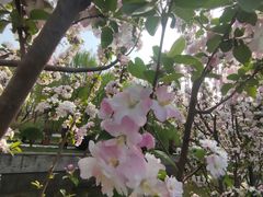 -元大都城垣遗址公园