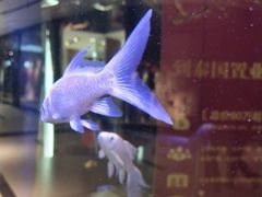 -远洋未来广场(育慧北路店)