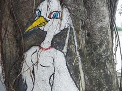 -大湾区中央湿地公园