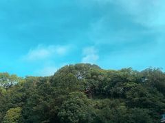 -广州市帽峰山景区