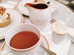 -Angelina(老佛爷店)