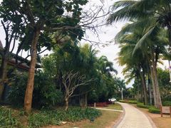 -石梅湾艾美度假酒店