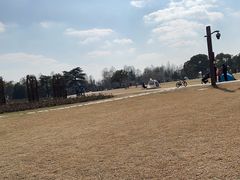 -上海滨江森林公园