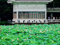-荔湾湖公园