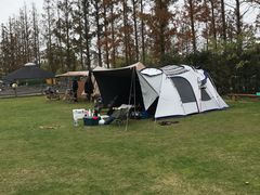 -前小桔亲子创意农场·草莓采摘·露营烧烤